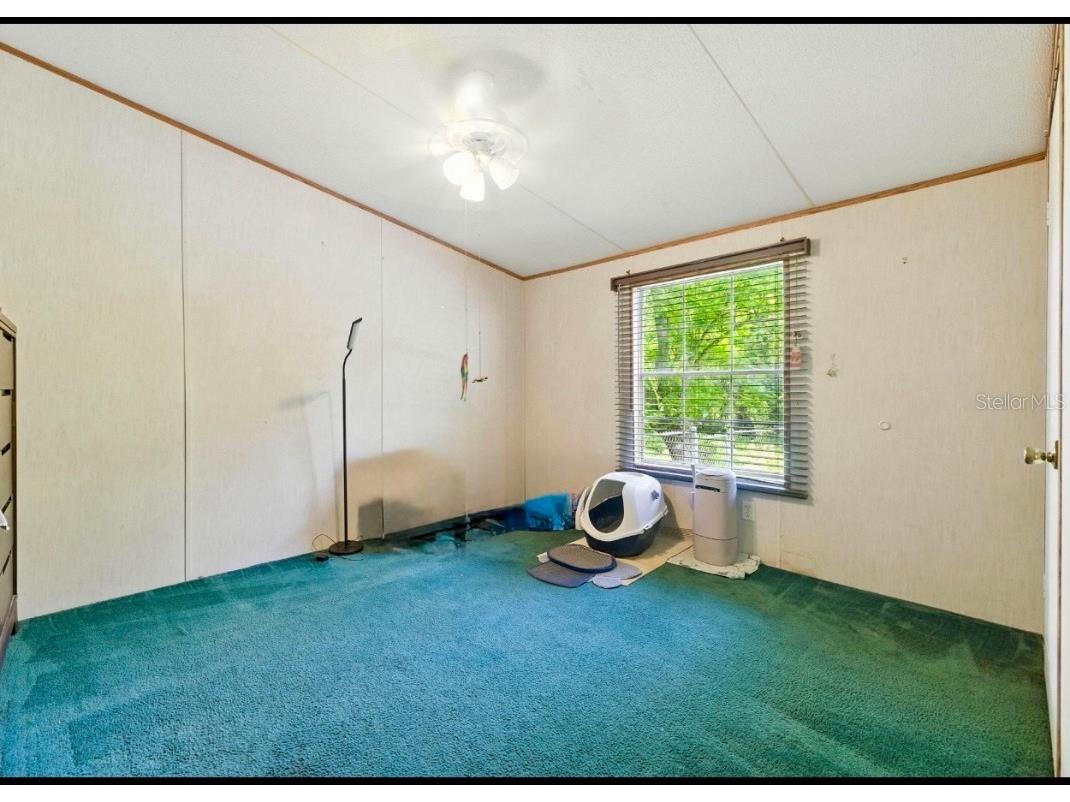 29913 Briarthorn Loop Wesley Chapel FL 33545 TB8414096 image20