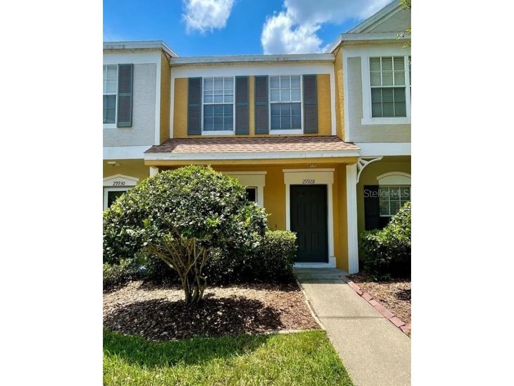 29916 Alta Vita Lane Wesley Chapel FL 33543 T3548830 image1