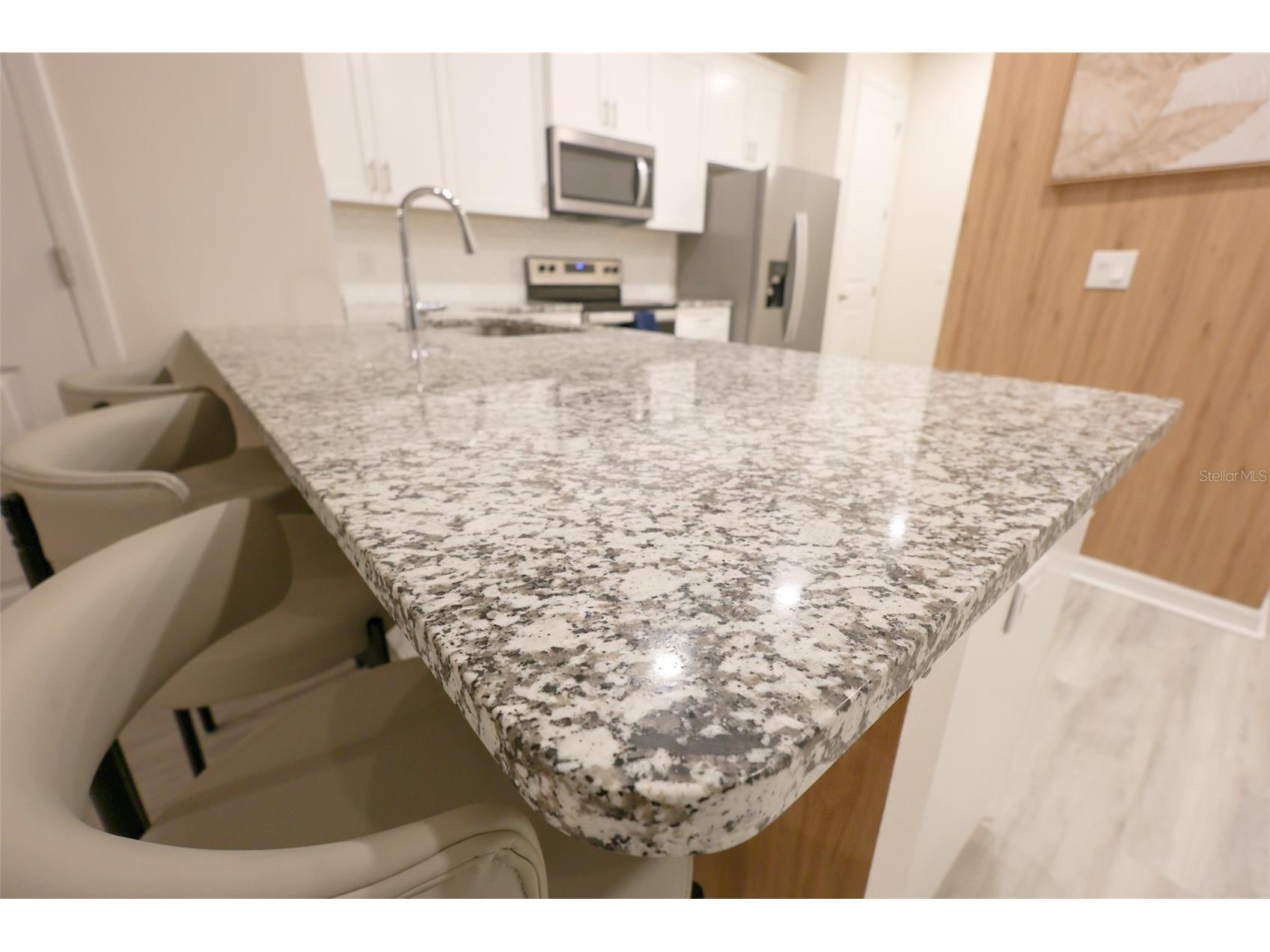 2992 Mearshire Drive Clearwater FL 33760 TB8473855 image8