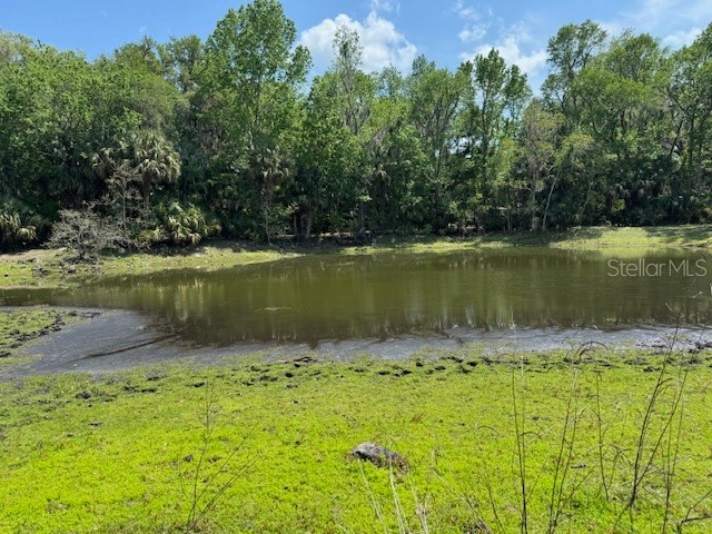 2992 N C 470 Lake Panasoffkee FL 33538 G5110150 image20