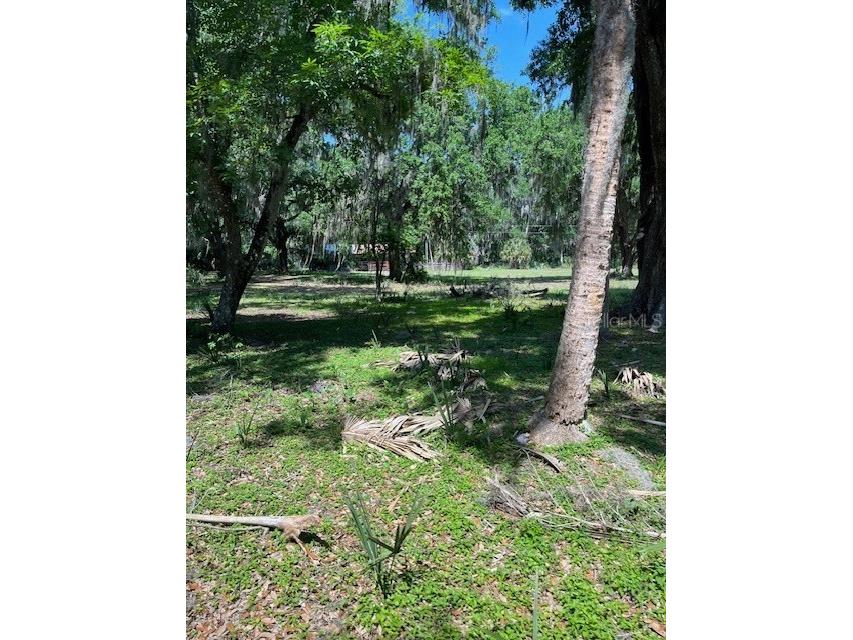 2992 N C 470 Lake Panasoffkee FL 33538 G5110150 image28