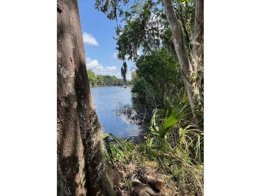 2992 N C 470 Lake Panasoffkee FL 33538 G5110150 image31