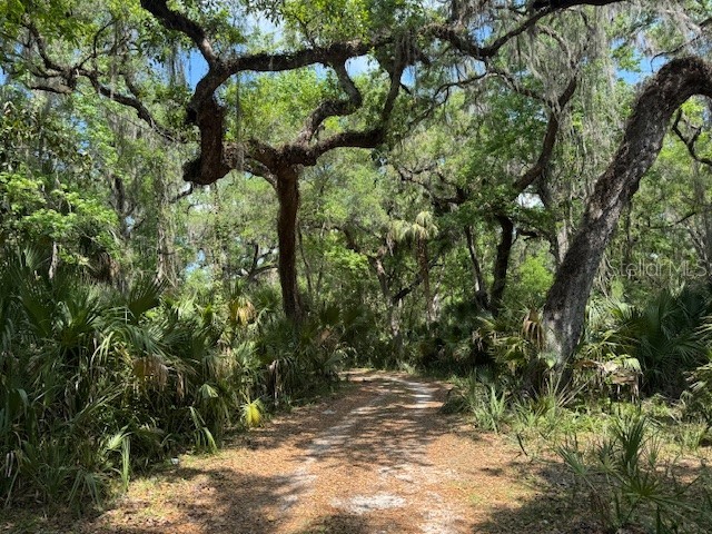 2992 N C 470 Lake Panasoffkee FL 33538 G5110150 image8