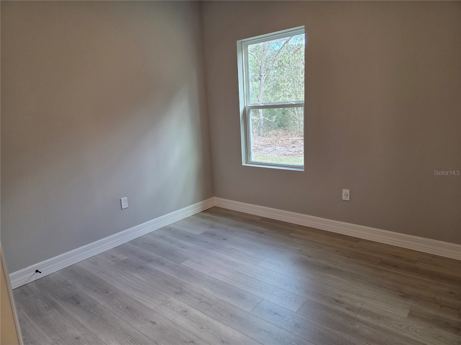 2992 W Hamlet Place Dunnellon FL 34433 P4937457 image14