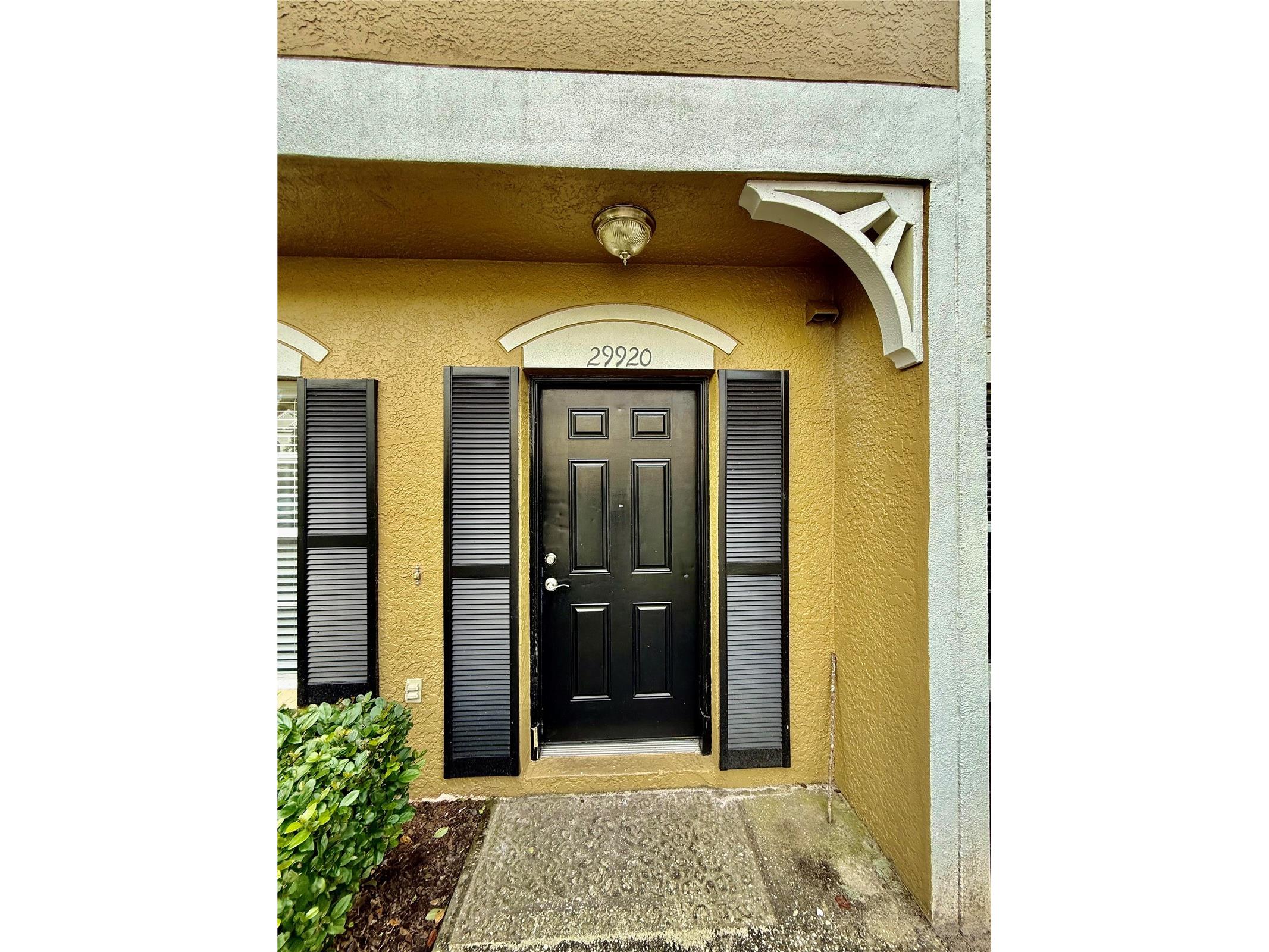 29920 Playa Del Rey Lane Wesley Chapel FL 33543 TB8464763 image2