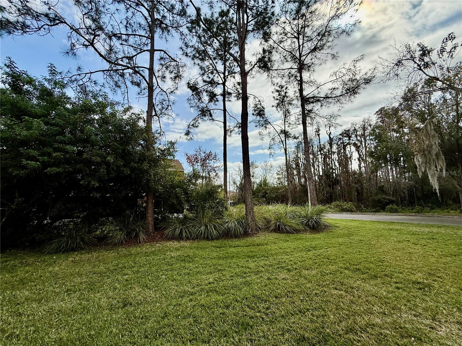 29920 Playa Del Rey Lane Wesley Chapel FL 33543 TB8464763 image25