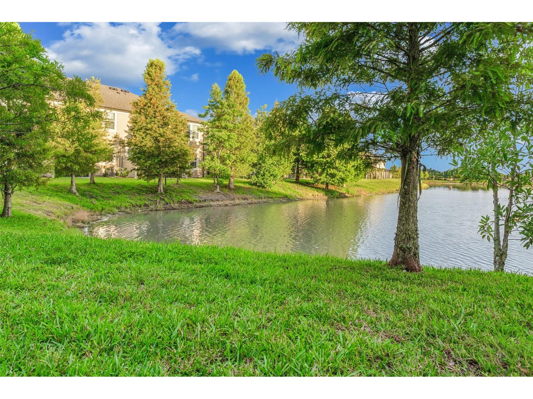 29922 Southwell Lane Wesley Chapel FL 33543 TB8500836 image32