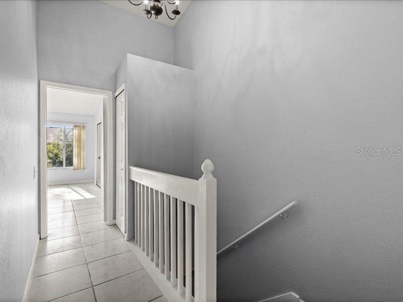 29924 Playa Del Rey Lane Wesley Chapel FL 33543 TB8518812 image10