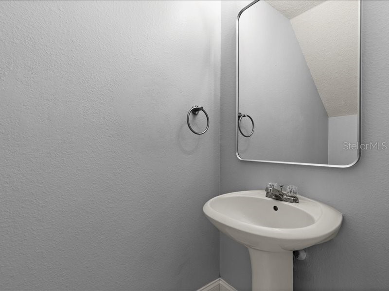 29924 Playa Del Rey Lane Wesley Chapel FL 33543 TB8518812 image20