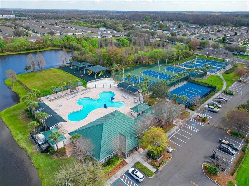 29924 Playa Del Rey Lane Wesley Chapel FL 33543 TB8518812 image27