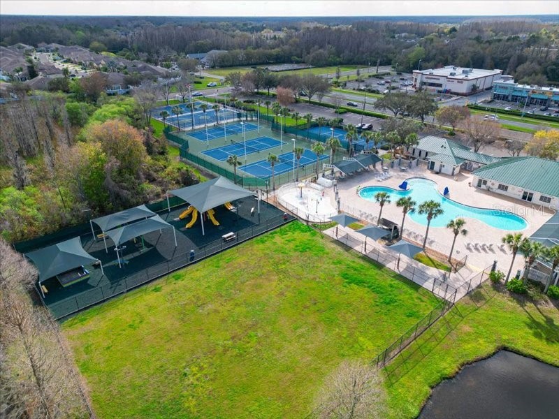 29924 Playa Del Rey Lane Wesley Chapel FL 33543 TB8518812 image28