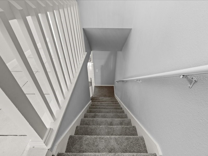 29924 Playa Del Rey Lane Wesley Chapel FL 33543 TB8518812 image9