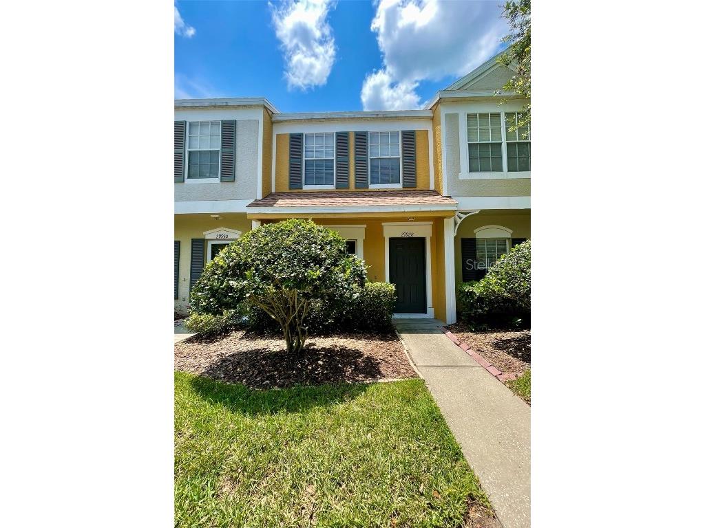 29928 Alta Vita Lane Wesley Chapel FL 33543 T3446279 image1