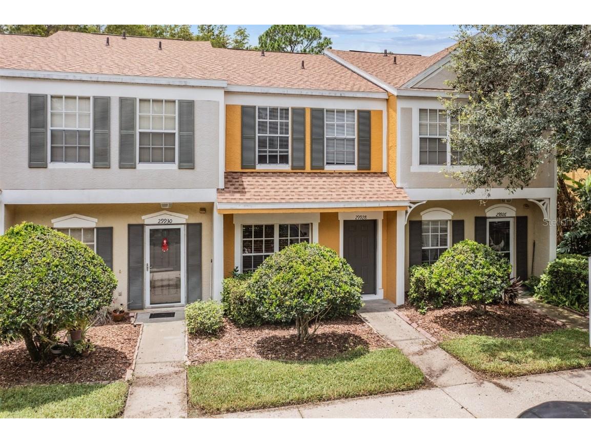 29928 Alta Vita Lane Wesley Chapel FL 33543 T3458238 image1