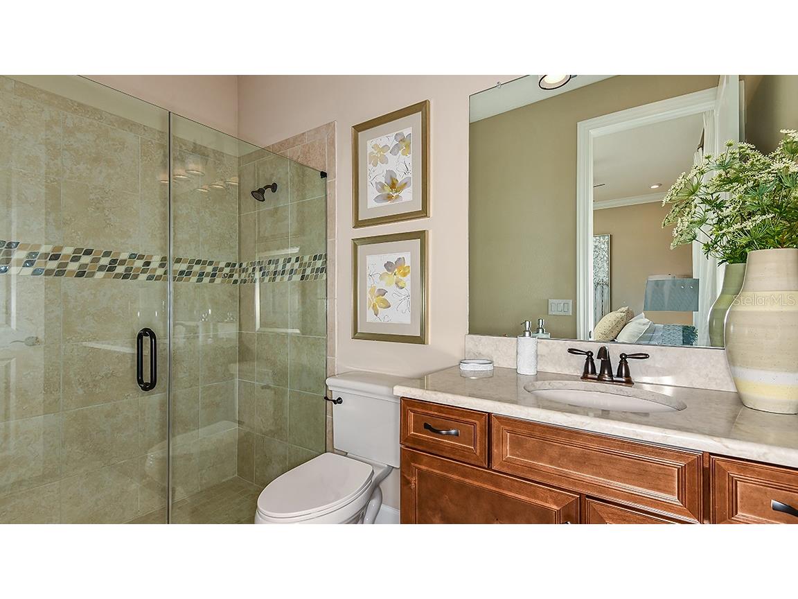 29929 Radice Court Wesley Chapel FL 33543 TB8409980 image10