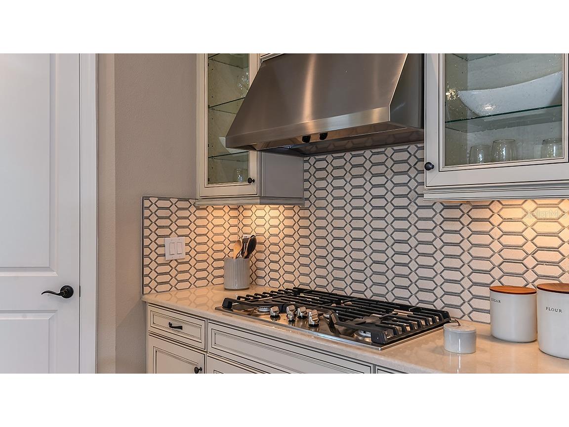 29929 Radice Court Wesley Chapel FL 33543 TB8409980 image19