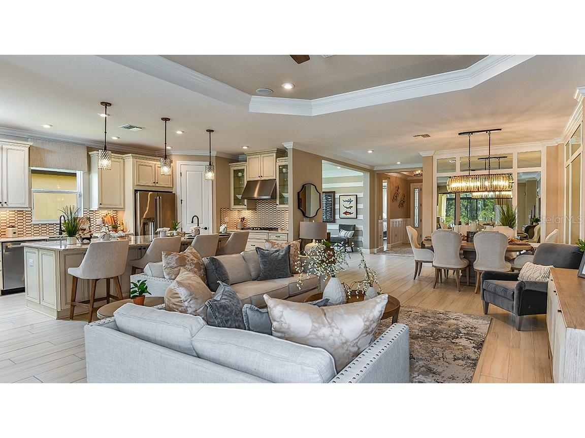 29929 Radice Court Wesley Chapel FL 33543 TB8409980 image23