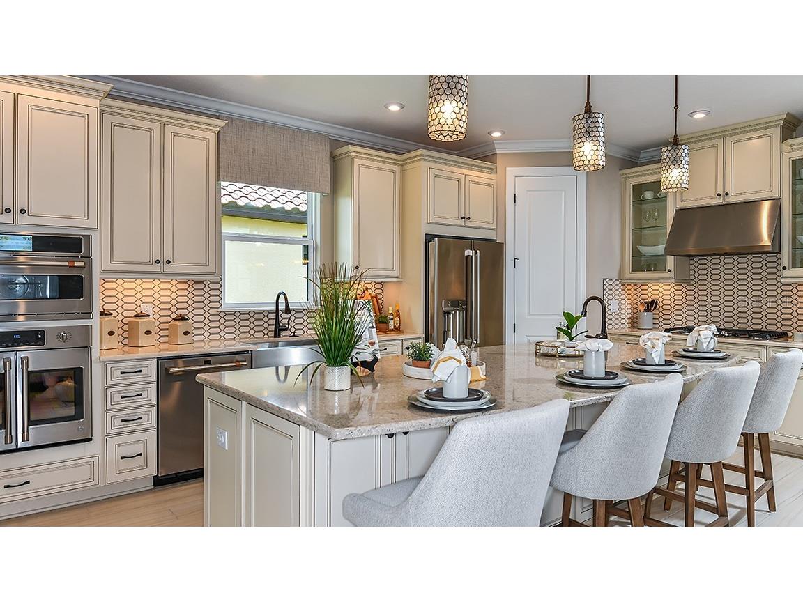 29929 Radice Court Wesley Chapel FL 33543 TB8409980 image25