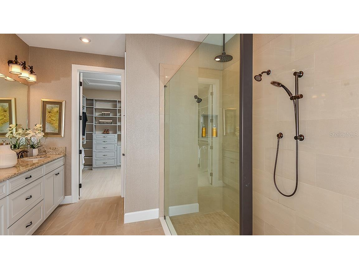 29929 Radice Court Wesley Chapel FL 33543 TB8409980 image28