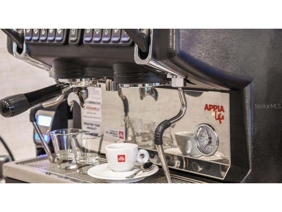 29929 Radice Court Wesley Chapel FL 33543 TB8409980 image32