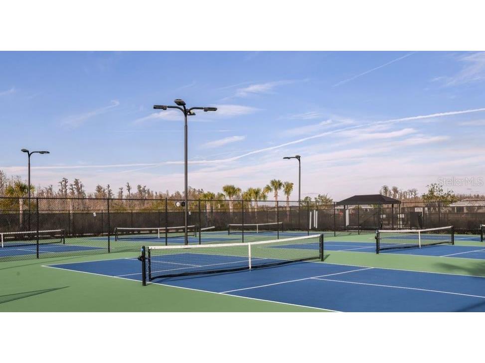 29929 Radice Court Wesley Chapel FL 33543 TB8409980 image34