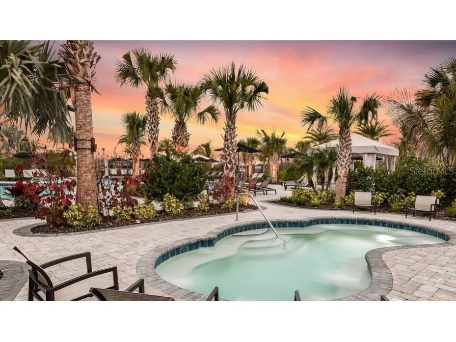 29929 Radice Court Wesley Chapel FL 33543 TB8409980 image36