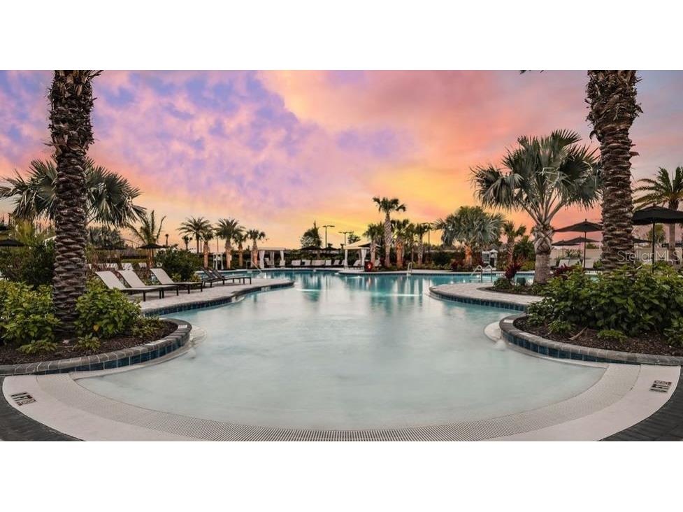 29929 Radice Court Wesley Chapel FL 33543 TB8409980 image37