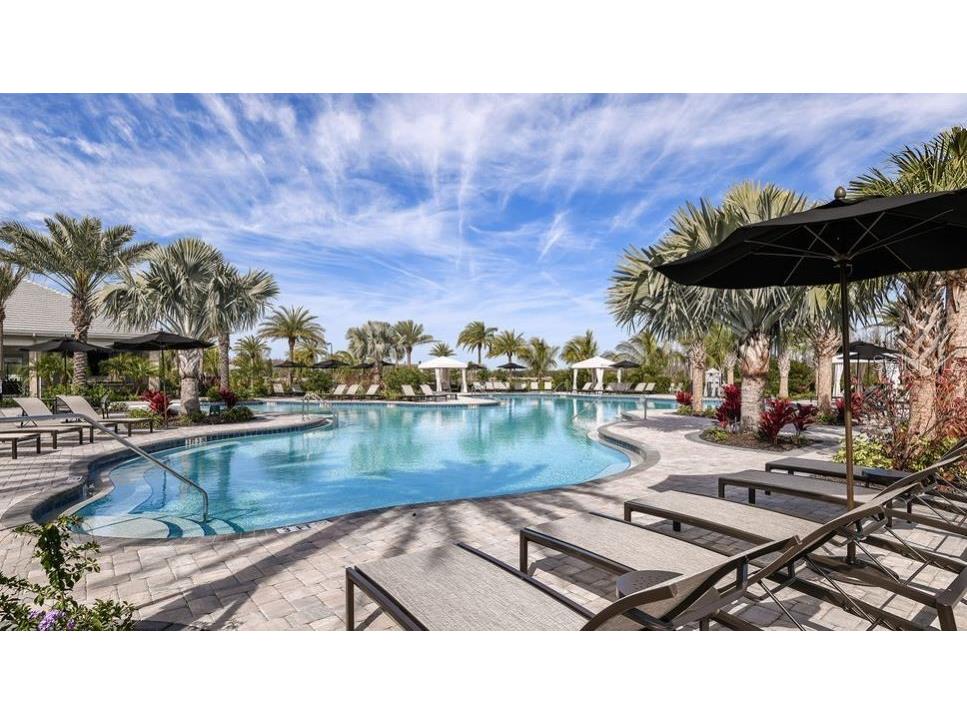 29929 Radice Court Wesley Chapel FL 33543 TB8409980 image38