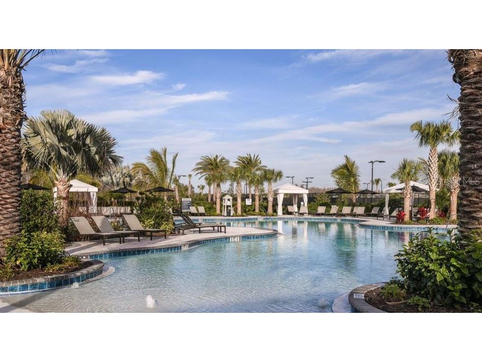 29929 Radice Court Wesley Chapel FL 33543 TB8409980 image39