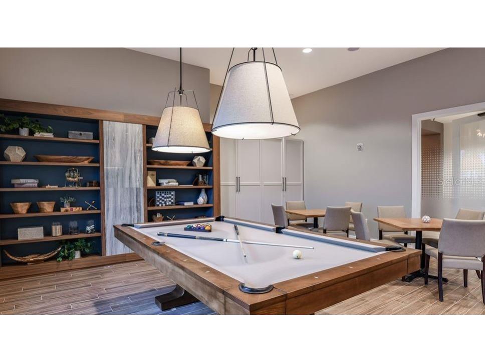 29929 Radice Court Wesley Chapel FL 33543 TB8409980 image41