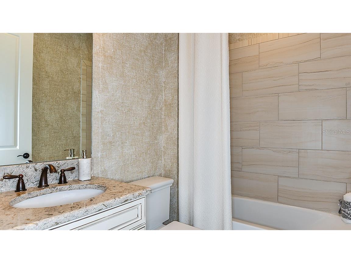 29929 Radice Court Wesley Chapel FL 33543 TB8409980 image7