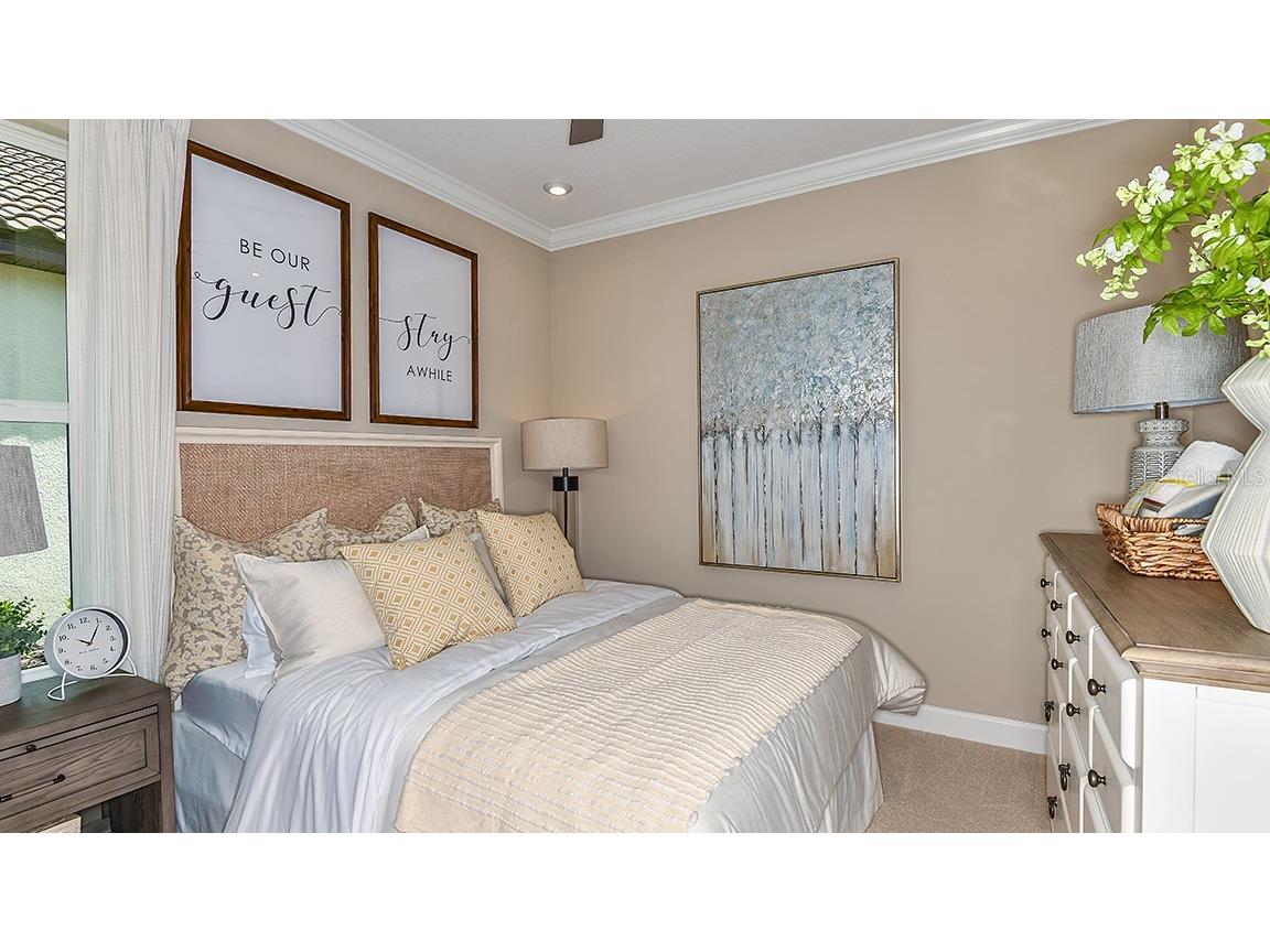 29929 Radice Court Wesley Chapel FL 33543 TB8409980 image8