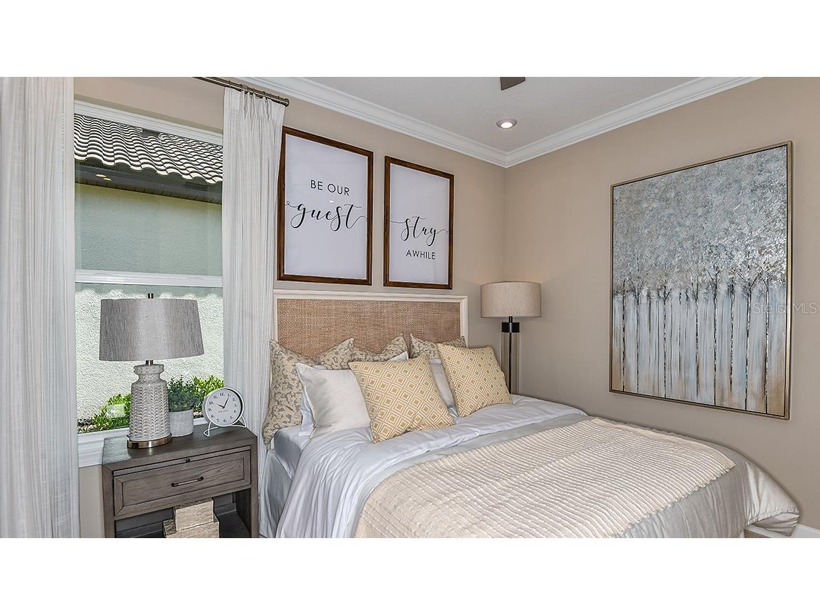 29929 Radice Court Wesley Chapel FL 33543 TB8409980 image9