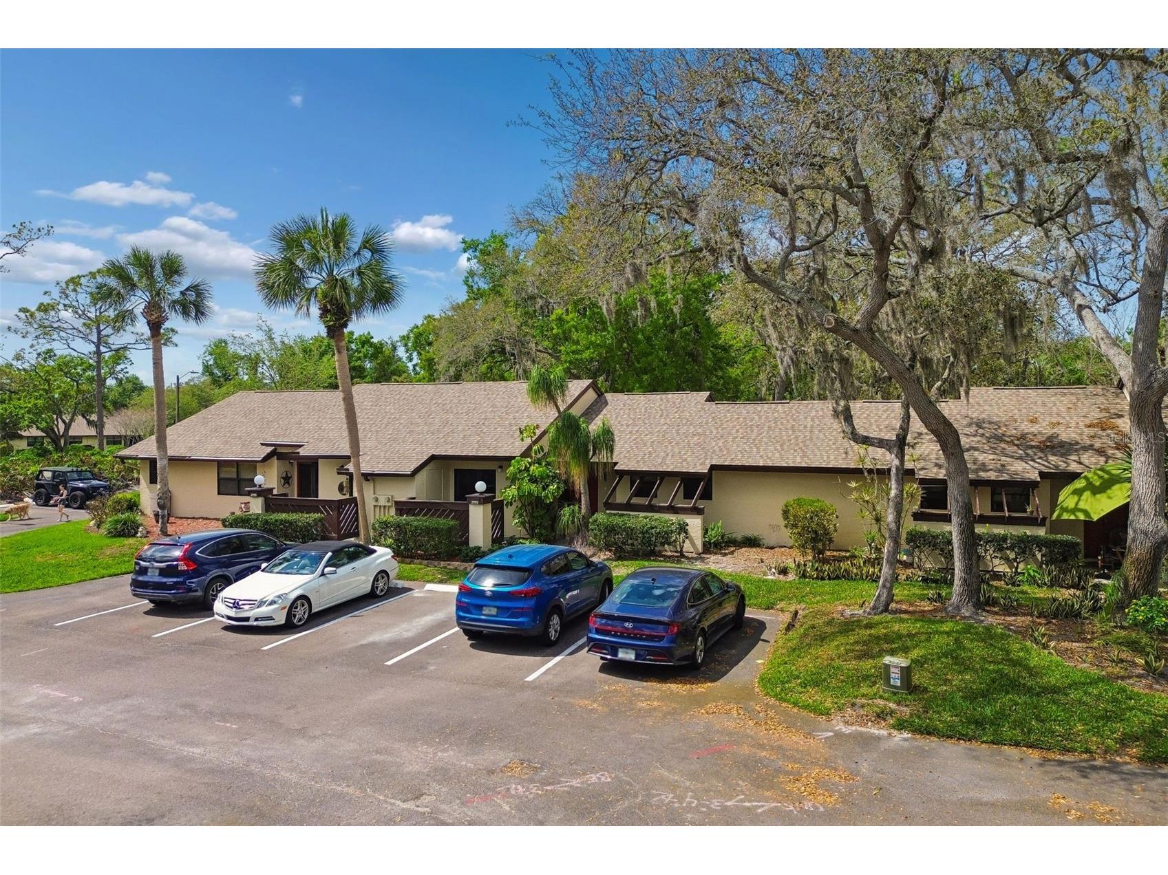 2993 Elder Court Palm Harbor FL 34684 TB8486308 image1