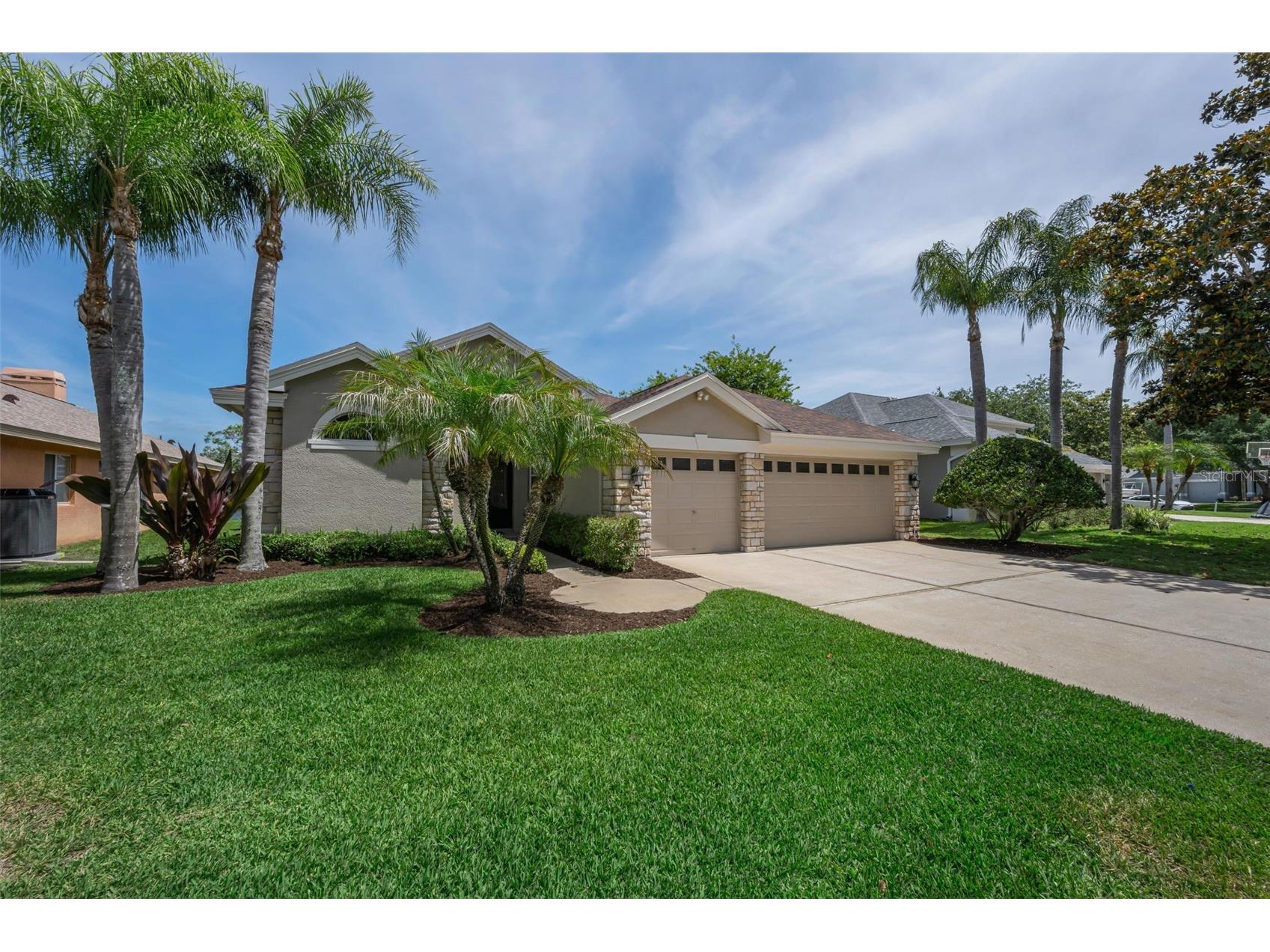 2993 Northfield Drive Tarpon Springs FL 34688 TB8506594 image2