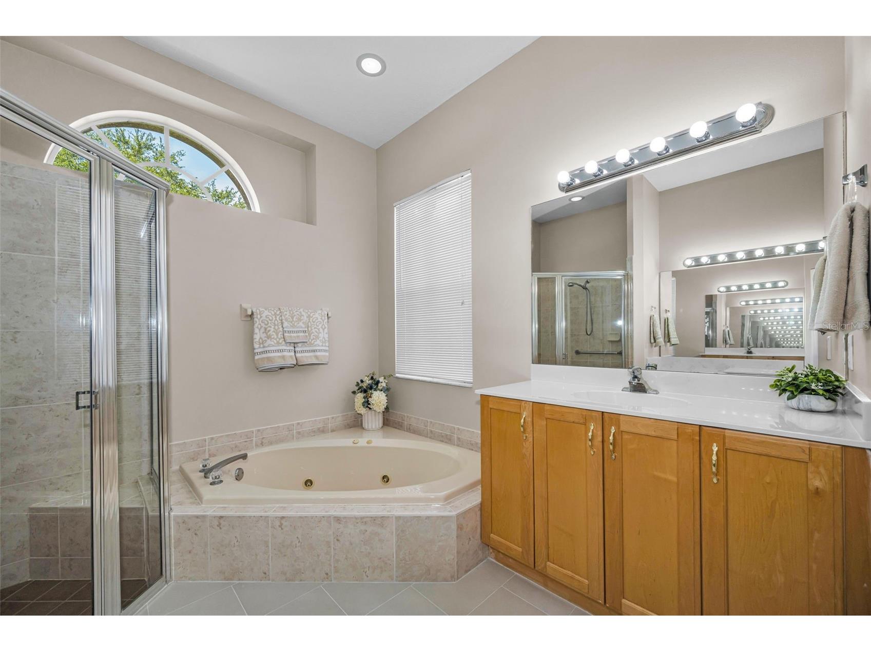 2993 Northfield Drive Tarpon Springs FL 34688 TB8506594 image30