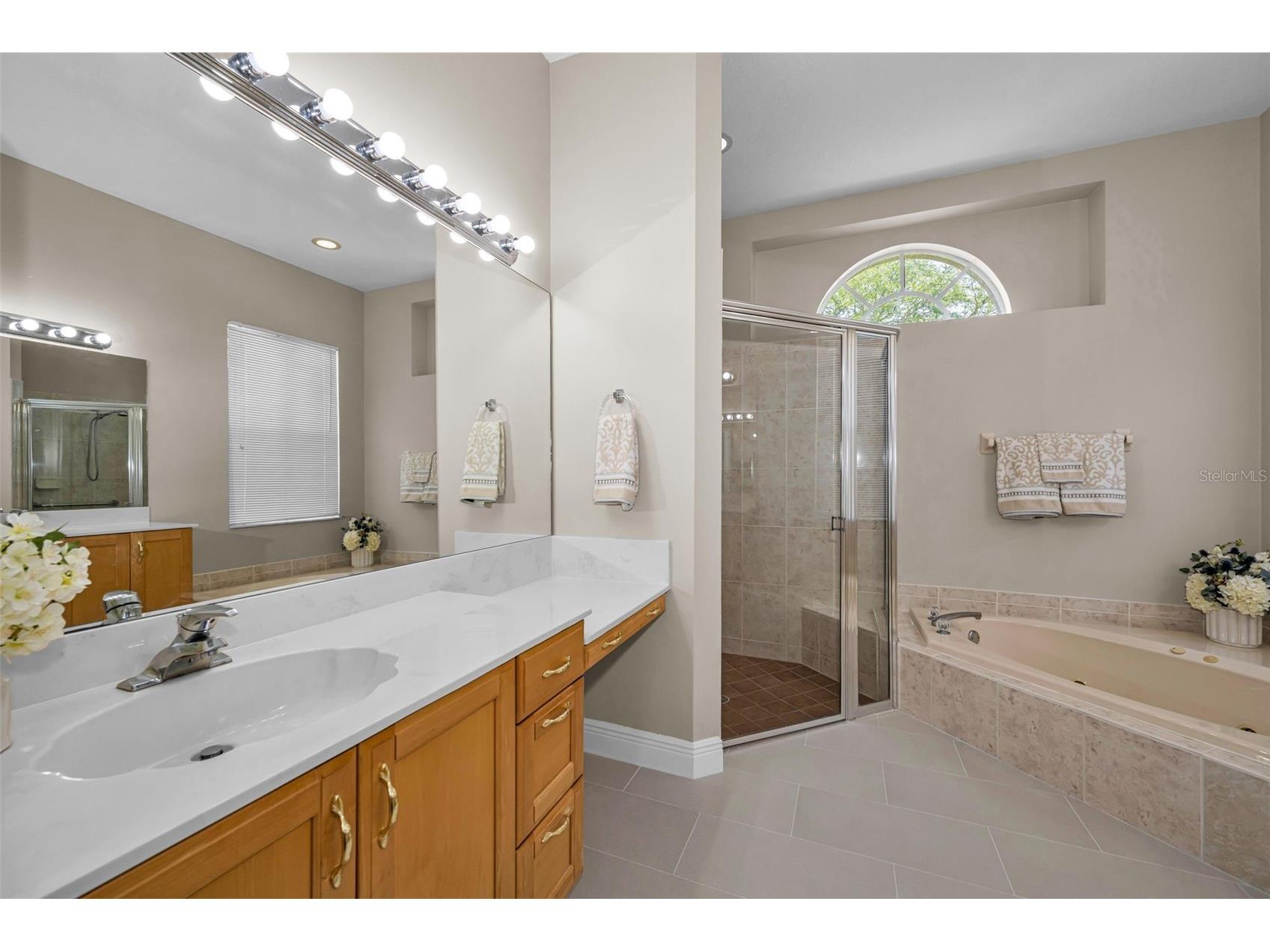 2993 Northfield Drive Tarpon Springs FL 34688 TB8506594 image31
