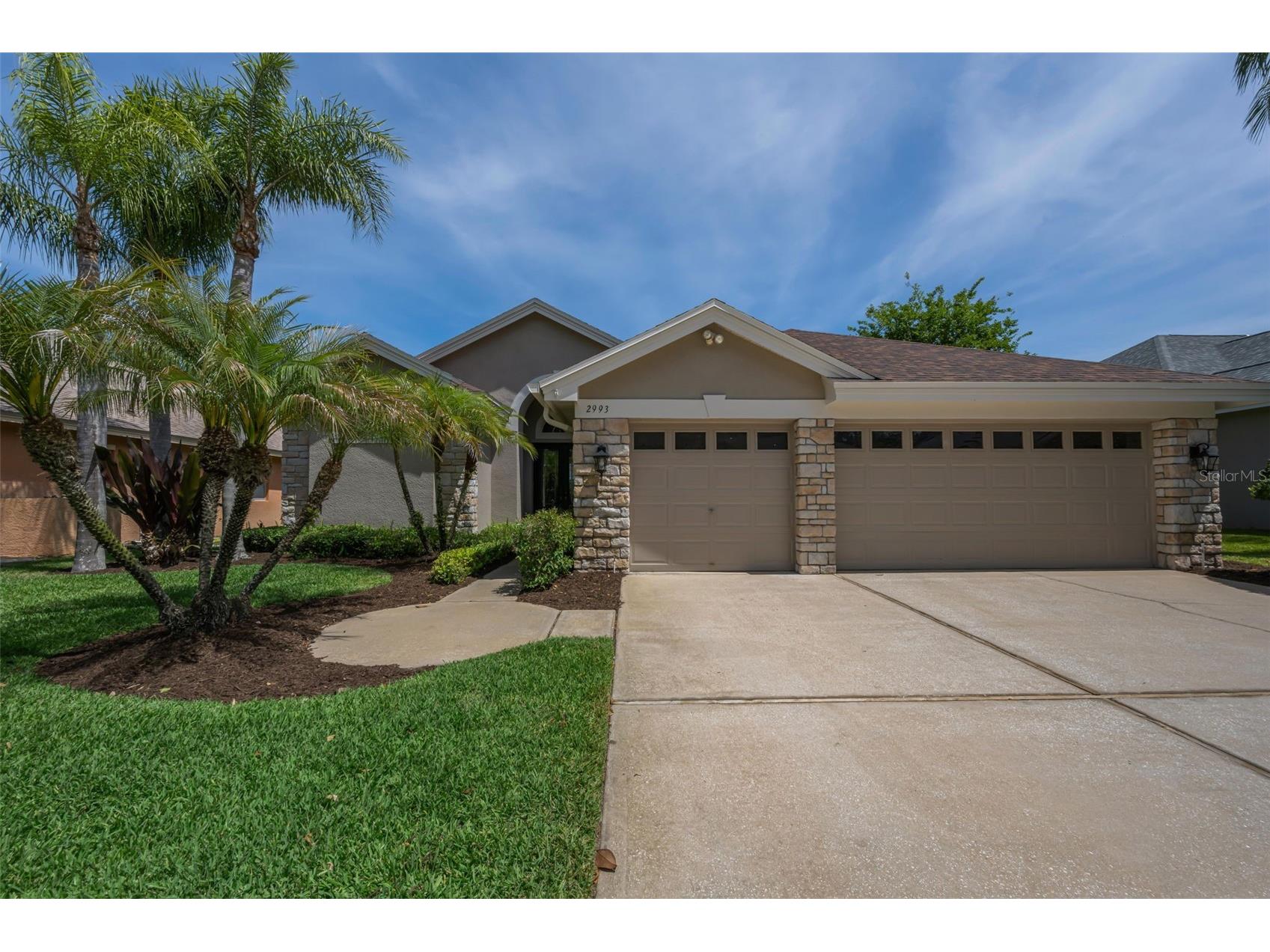 2993 Northfield Drive Tarpon Springs FL 34688 TB8506594 image4