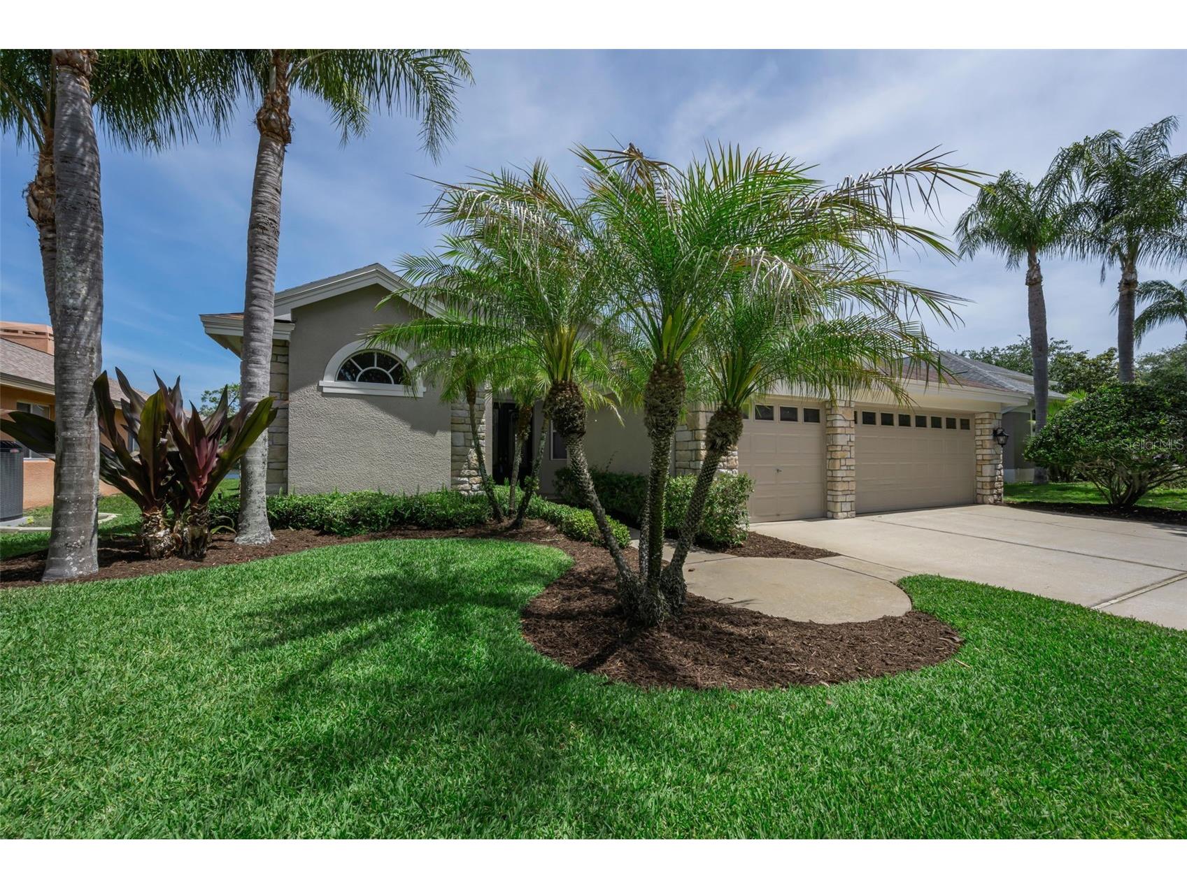 2993 Northfield Drive Tarpon Springs FL 34688 TB8506594 image5