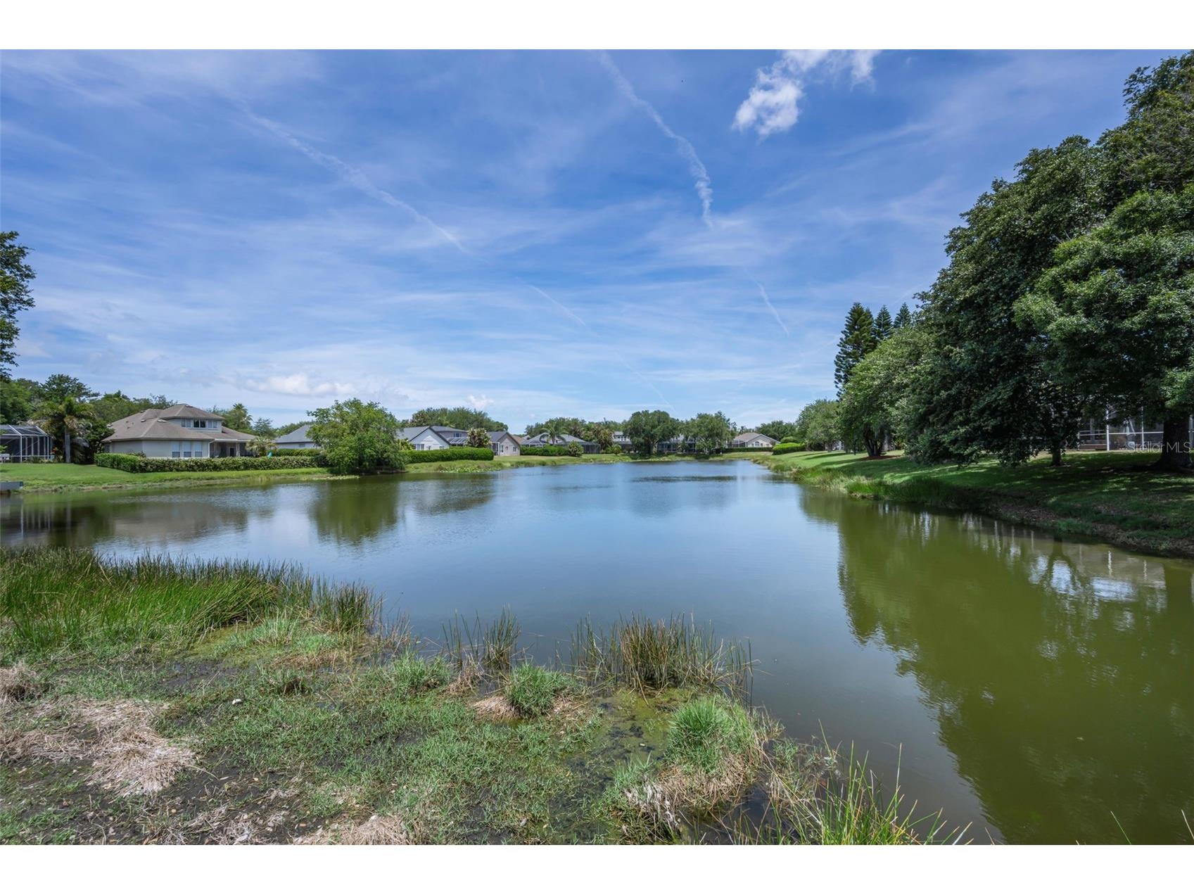 2993 Northfield Drive Tarpon Springs FL 34688 TB8506594 image51