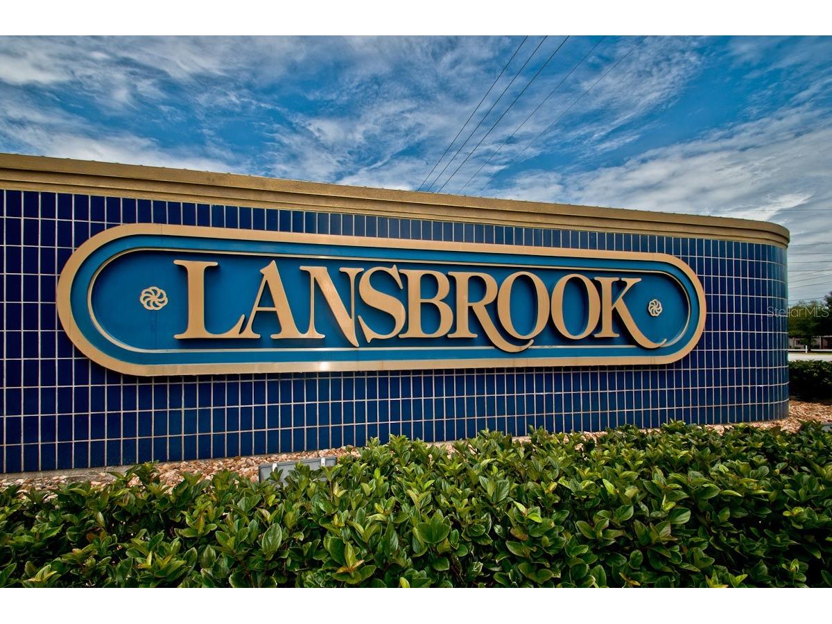 2993 Northfield Drive Tarpon Springs FL 34688 TB8506594 image56