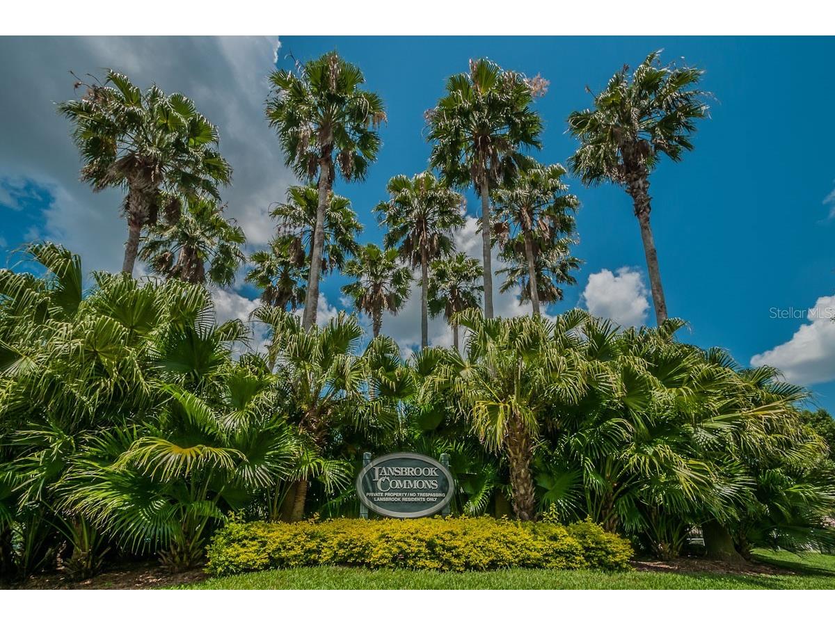2993 Northfield Drive Tarpon Springs FL 34688 TB8506594 image57
