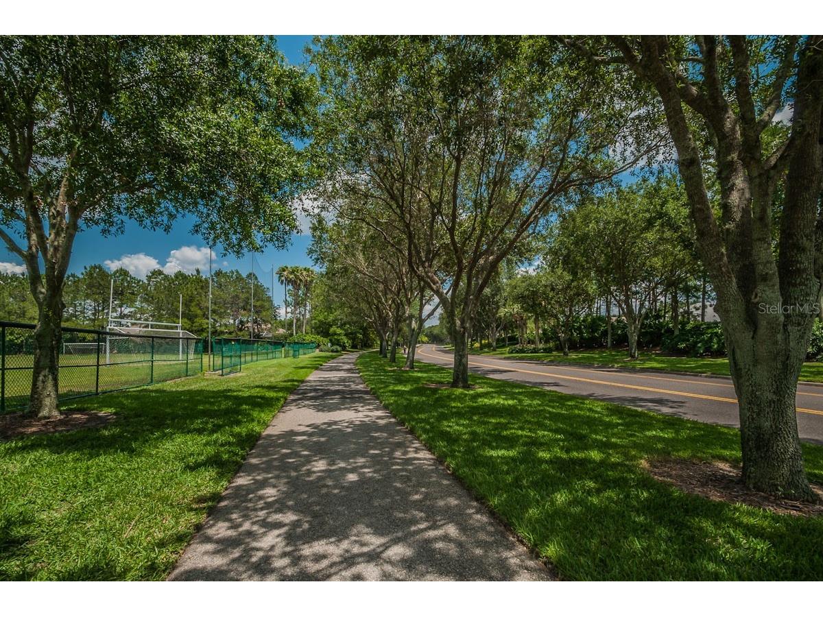 2993 Northfield Drive Tarpon Springs FL 34688 TB8506594 image58