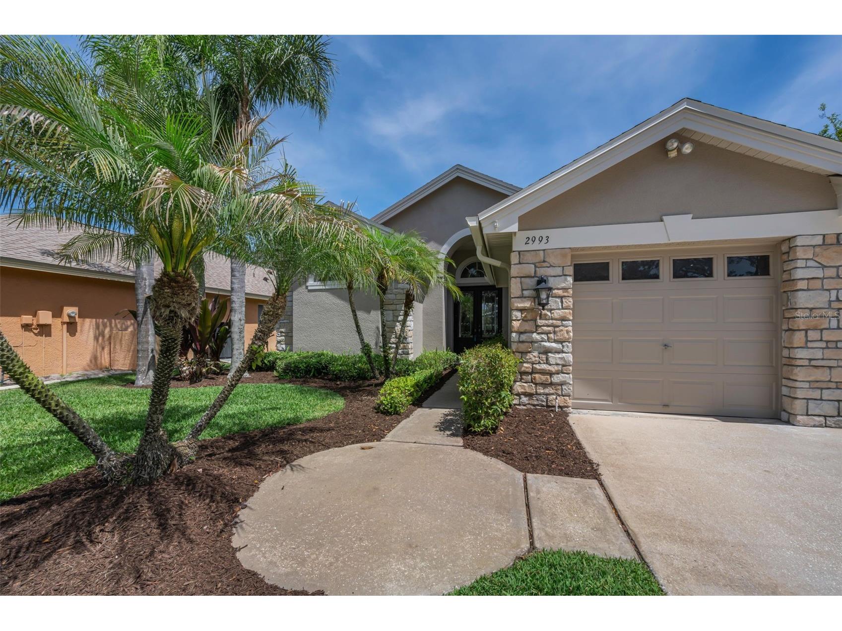 2993 Northfield Drive Tarpon Springs FL 34688 TB8506594 image6