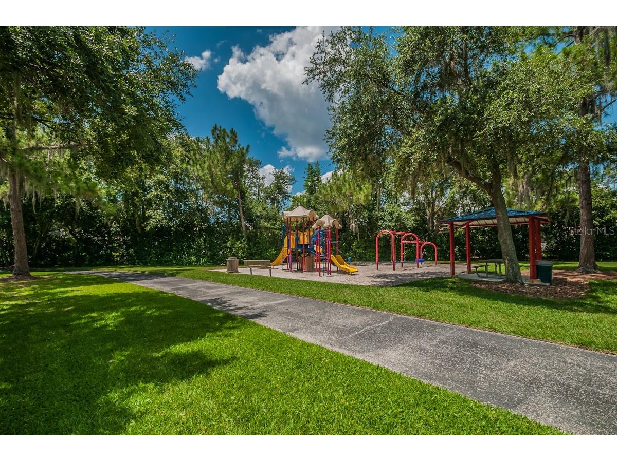 2993 Northfield Drive Tarpon Springs FL 34688 TB8506594 image63