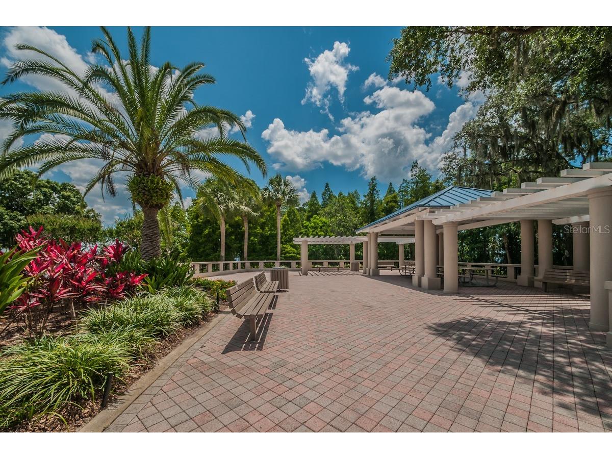 2993 Northfield Drive Tarpon Springs FL 34688 TB8506594 image65