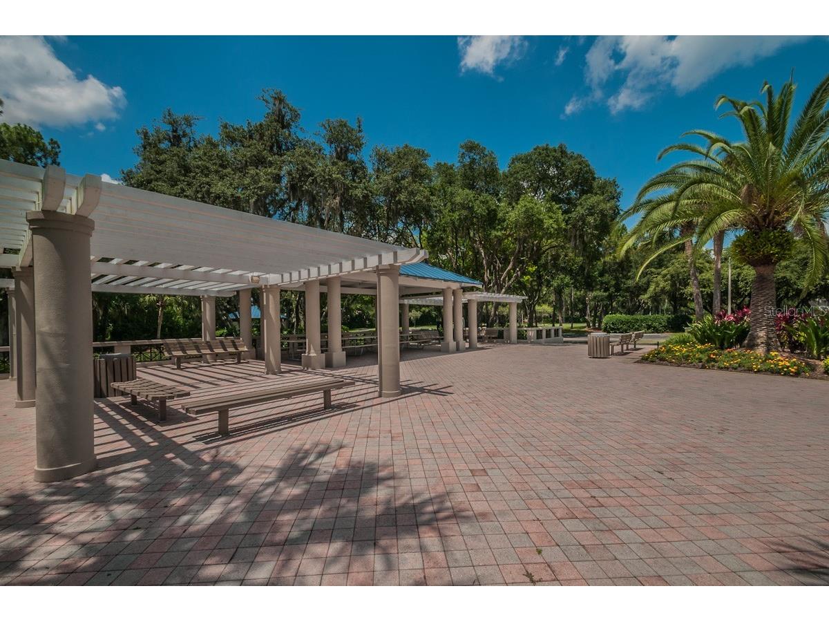 2993 Northfield Drive Tarpon Springs FL 34688 TB8506594 image66