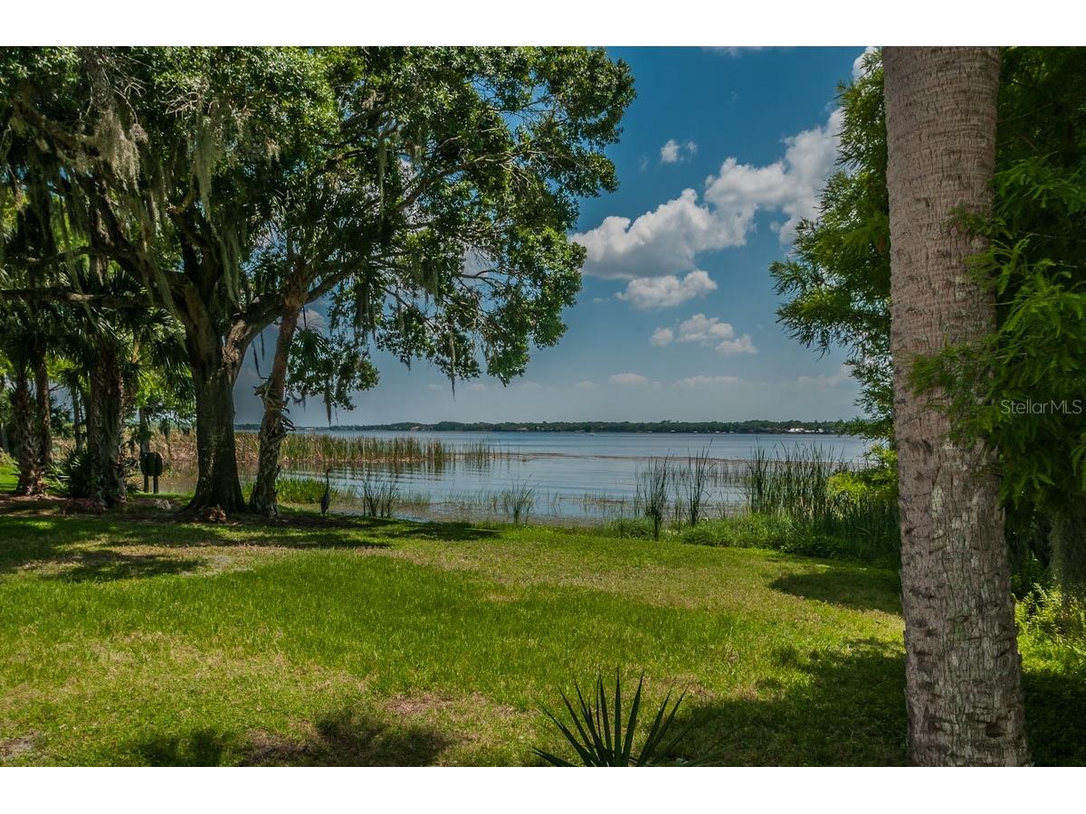 2993 Northfield Drive Tarpon Springs FL 34688 TB8506594 image68