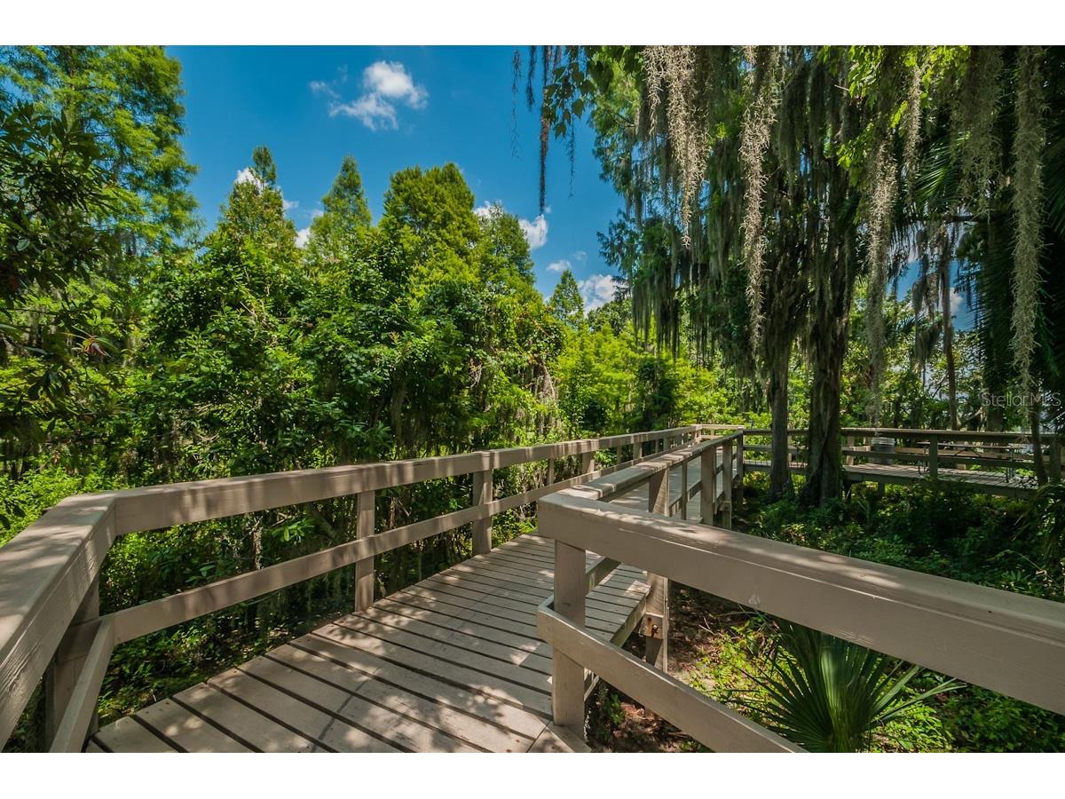 2993 Northfield Drive Tarpon Springs FL 34688 TB8506594 image71