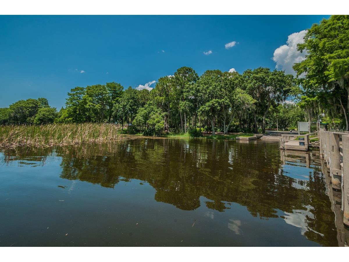 2993 Northfield Drive Tarpon Springs FL 34688 TB8506594 image77